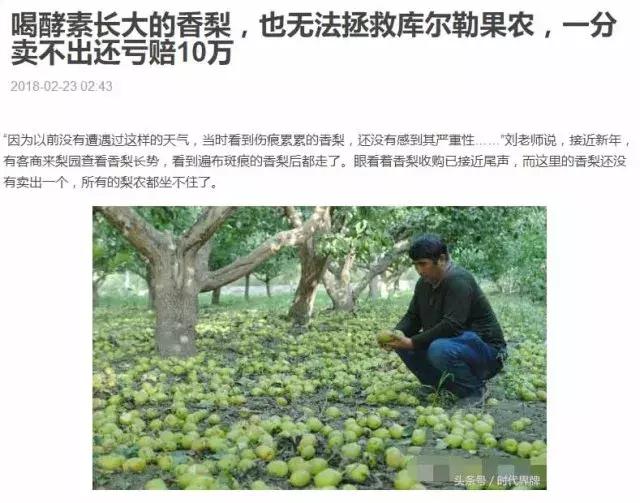 用酵素做肥料有用吗,用酵素养的蔬菜很好吃