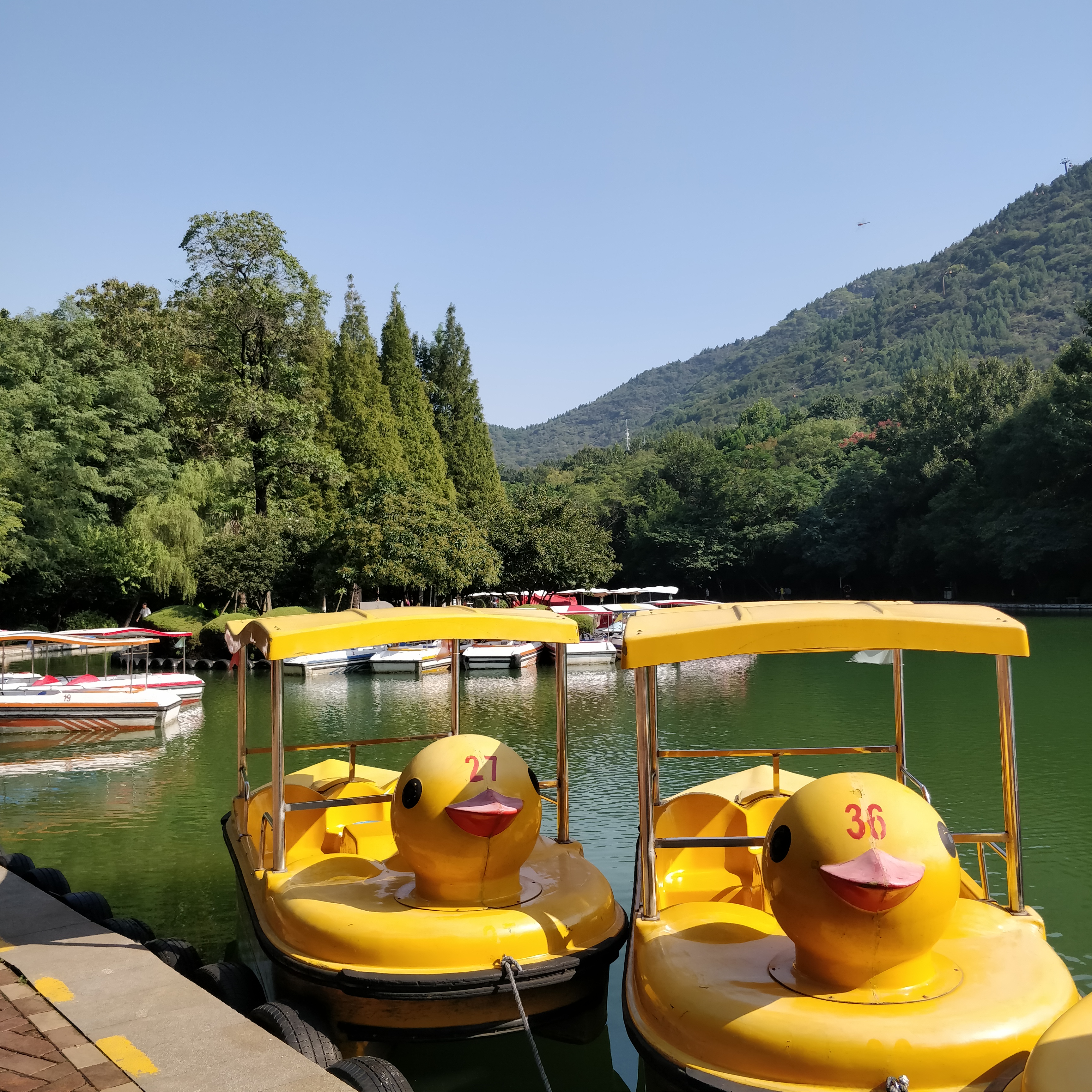 淮北相山公园相山之巅,我眼中的公园范文