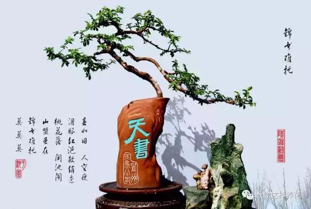 切割陶瓷酒瓶做花盆最简单的方法,没有工具怎么把陶瓷酒瓶弄成花盆