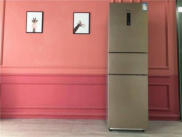 小天鹅电冰箱哪个型号最好,小天鹅冰箱优点与缺点