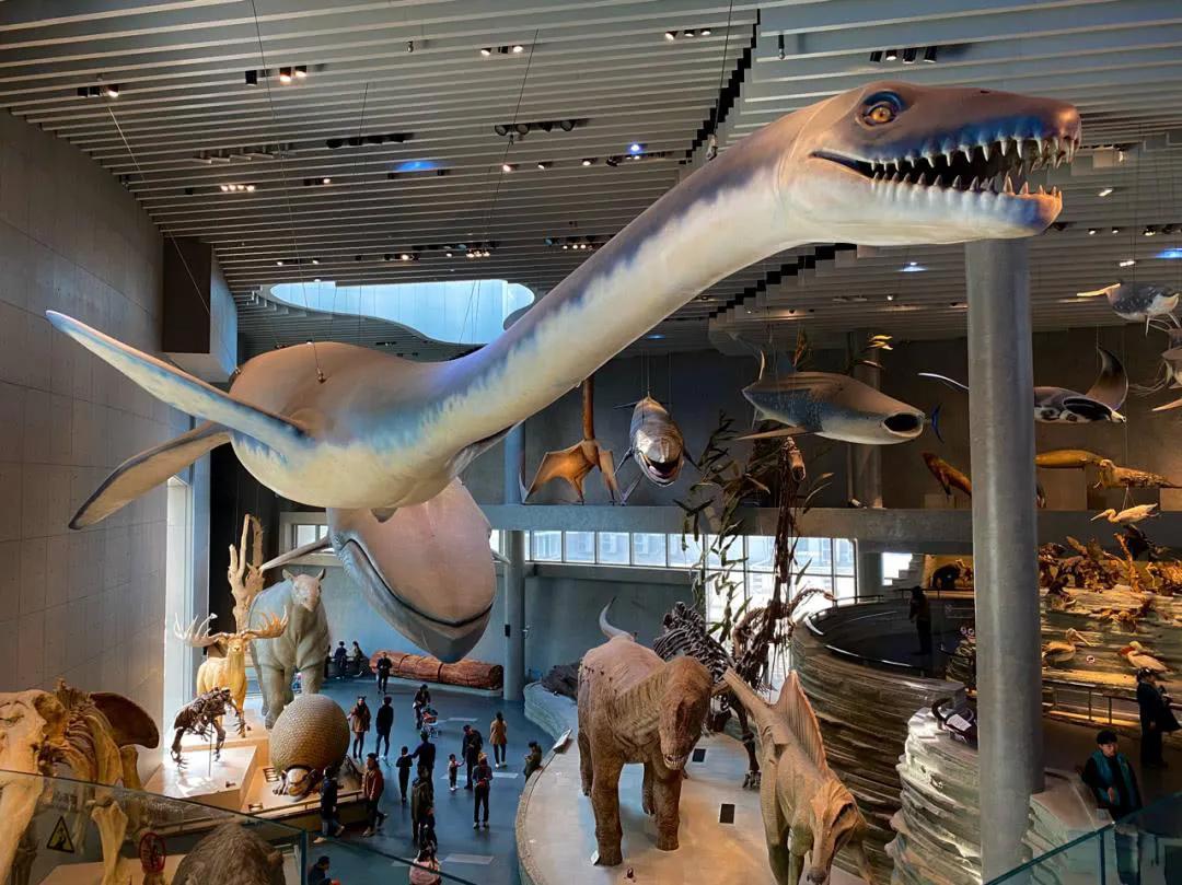 广西南宁十大景点介绍视频播放,广西南宁有哪些著名的风景区