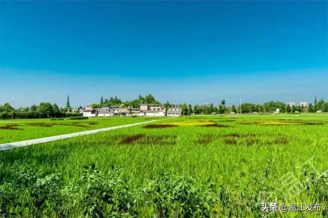 金温江国际水球赛开赛在即，点击领取门票！