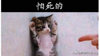 五年销售经验,白酒销售的经验和技巧