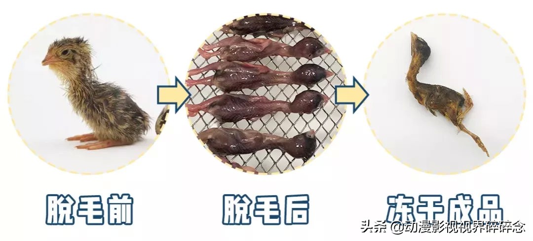 猫零食智商税10连，铲屎官的钱都是大风刮来的吗？