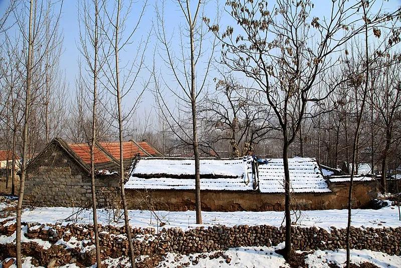 表格填写籍贯是代表什么,填表格里的籍贯是什么意思