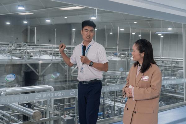 拼多多伊利乳品旗舰店,拼多多伊利优品专卖店