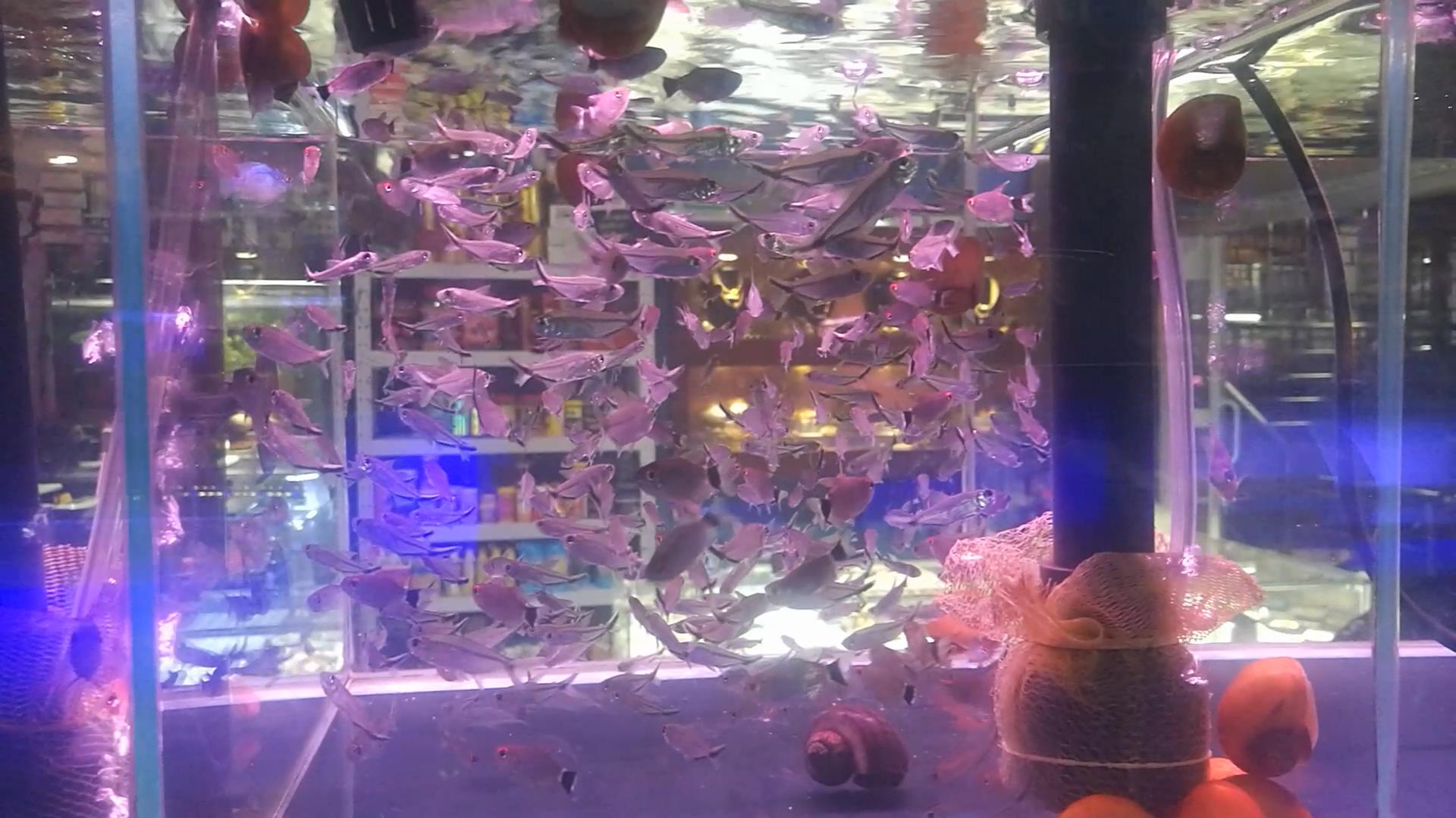 北京官园批发市场搬迁到哪里了,北京官园市场搬迁到哪里