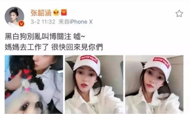 范玮琪不被喜欢的原因,范玮琪说没有伤害过任何人