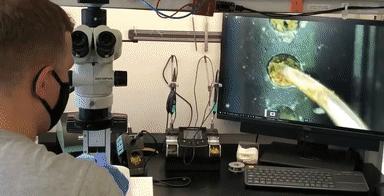 你的手机干净么,手机脏了正确清理方法