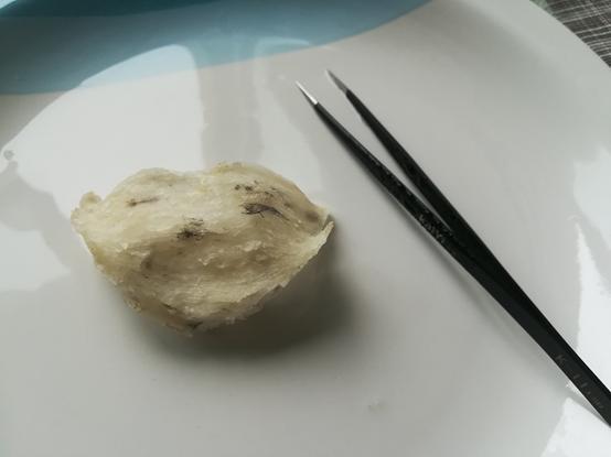 你一定要知道的燕窝小知识,燕窝知识百答之基础篇