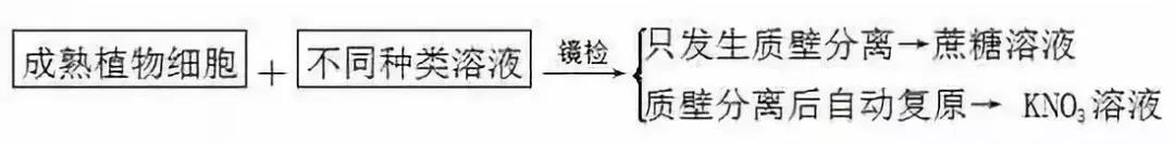 云南高中会考生物实验操作,生物显微镜实验视频高中