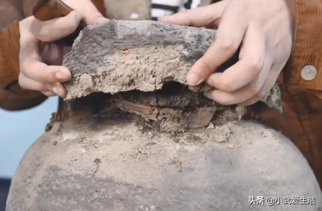 女儿红一坛18斤多少钱,主播开箱一百个箱子多少钱