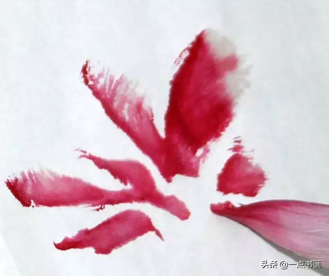 王绣写意牡丹画法步骤,王兮然写意牡丹画法视频大全