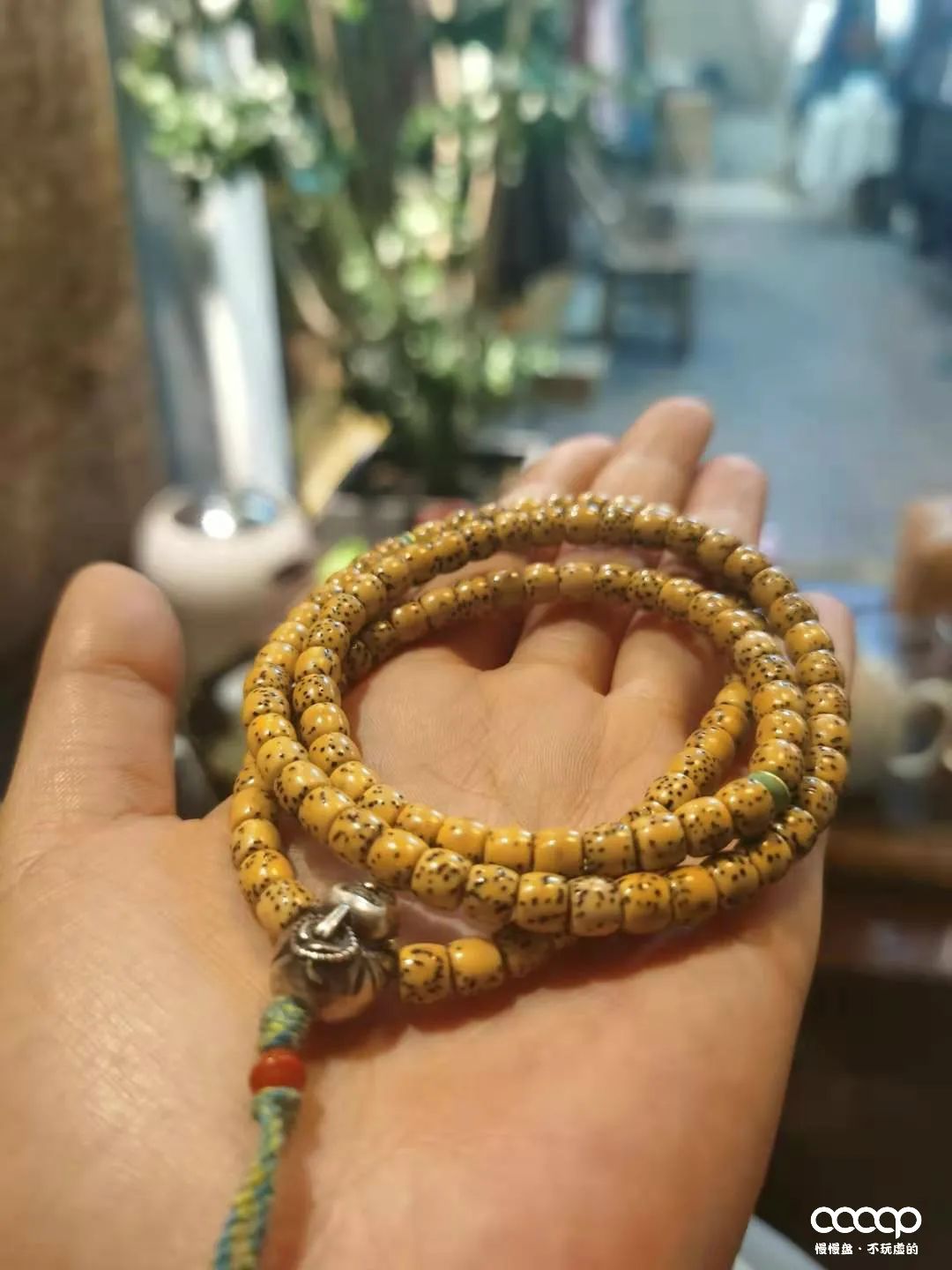 超实力派小姐姐!玩串16年,爱入骨髓,彻彻底底的包浆控