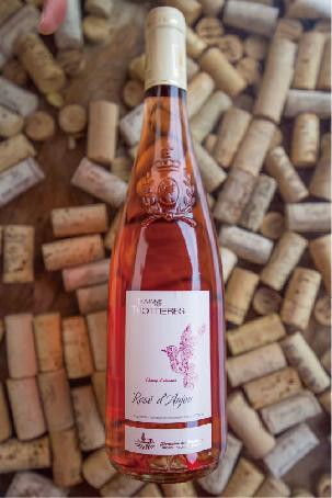 寻酒记蓝瓶,寻酒记酒馆