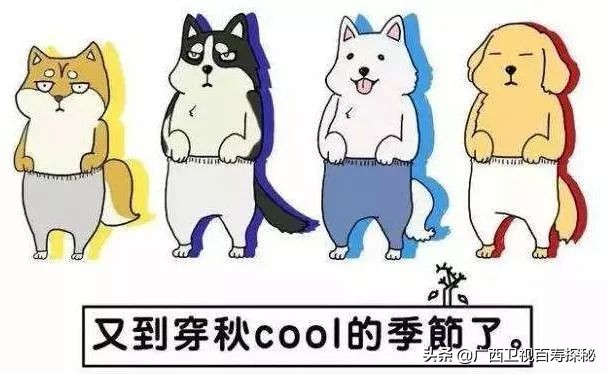 巴马长寿之乡候鸟老人,巴马为什么吸引成千上万的候鸟人