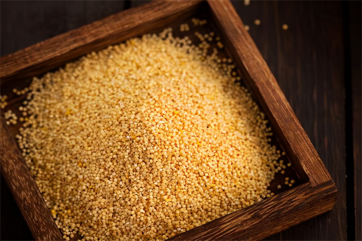 脾虚吃什么补脾养胃最好,脾虚吃什么补气血最快最有效