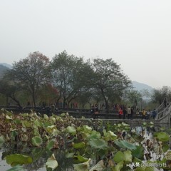 宏村居住攻略,宏村的2大特色