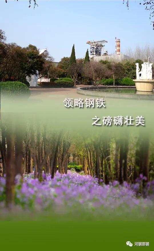 娌抽挗閭挗閾佽矾,娌抽挗閭挗楂樼倝