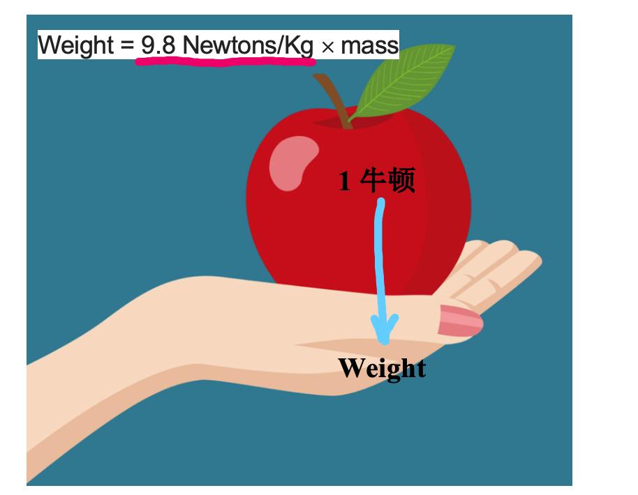 一牛顿的力气有多大,如何看懂牛顿的力