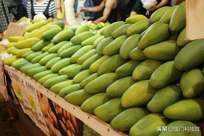 2018年厦门旅游购物陷阱,厦门旅游防被坑