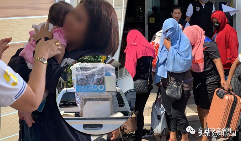 郑爽代孕只是小儿科，东南亚的“代孕工厂”，还有更多隐藏的真相