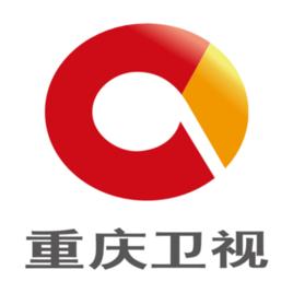 各地电视台台标寓意 (电视台的台标图案及意义)