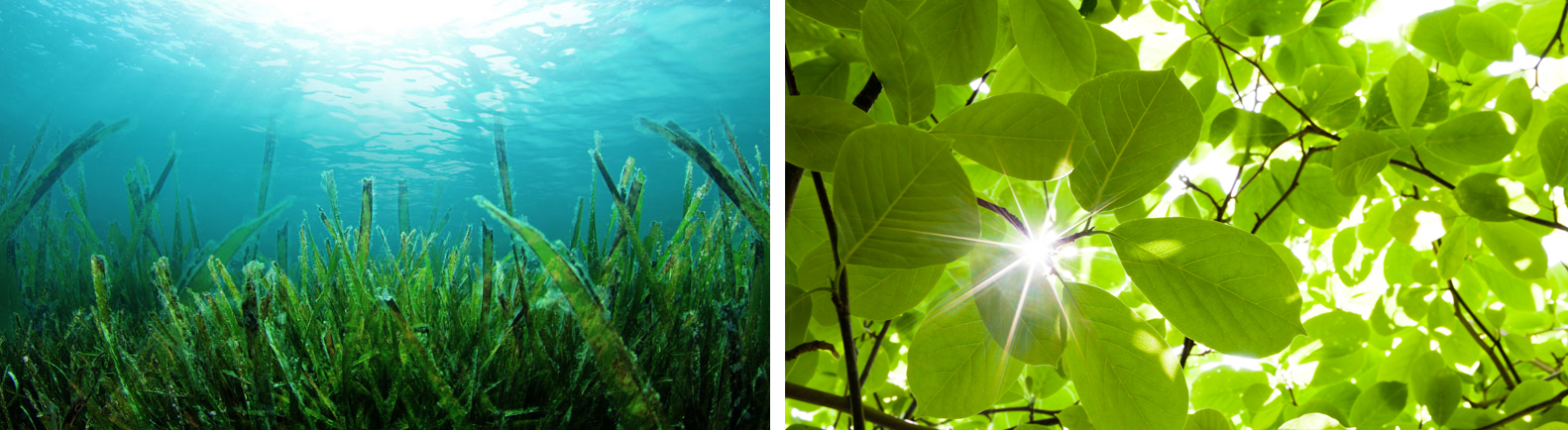 香水全攻略5分钟教你学会选香水,干货建议怎么穿才能get高级感