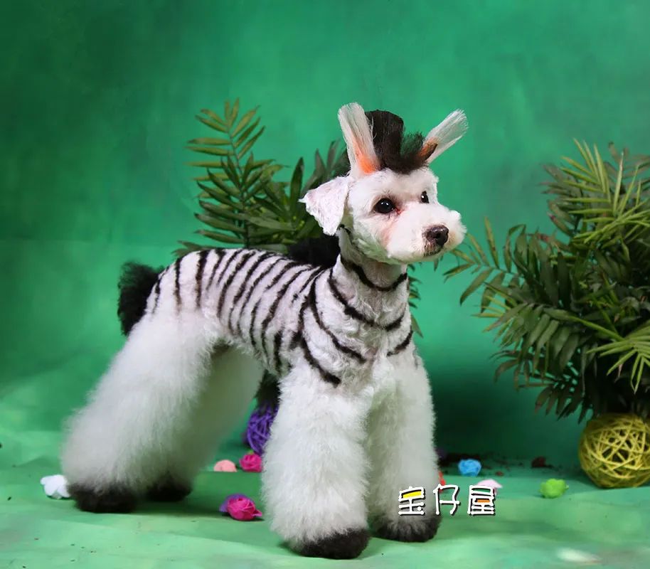 BlingBlink宠物彩妆粉亮相2021CPF广州国际宠博会