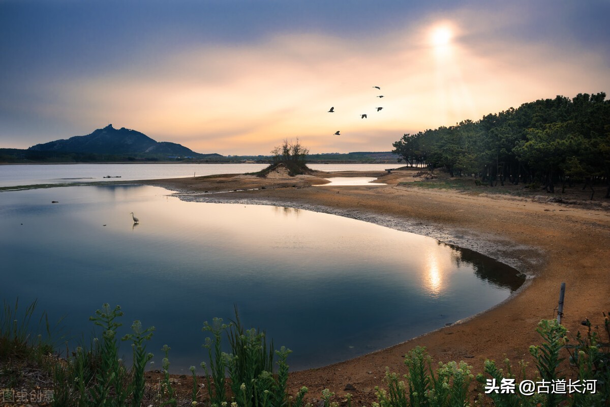 每天多认一个字:骞翮「qiānhé」