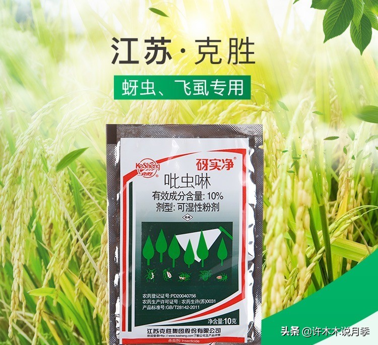 月季病害通用药,月季病害的必备药物