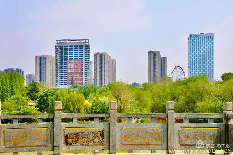 看洛阳牡丹花卉节,洛阳古都牡丹花展