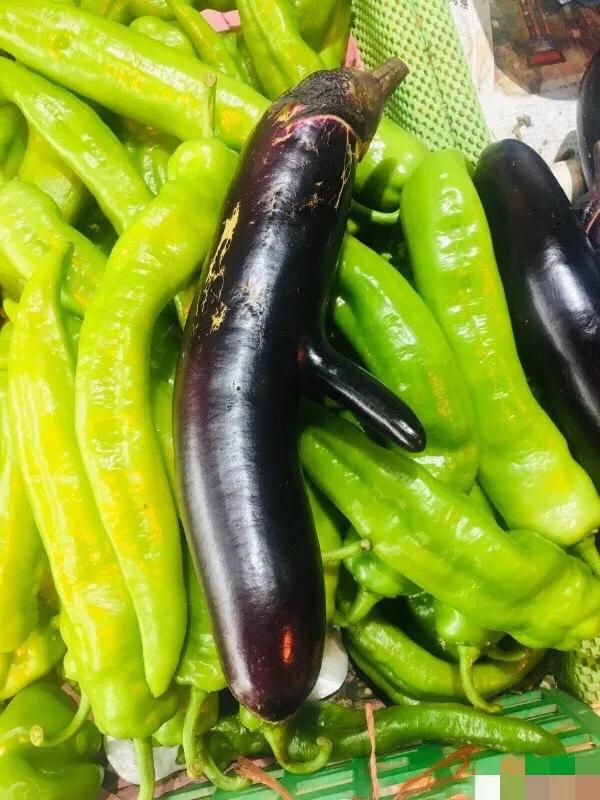 王者荣耀举报dota2,王者荣耀玩家玩dota2被反补