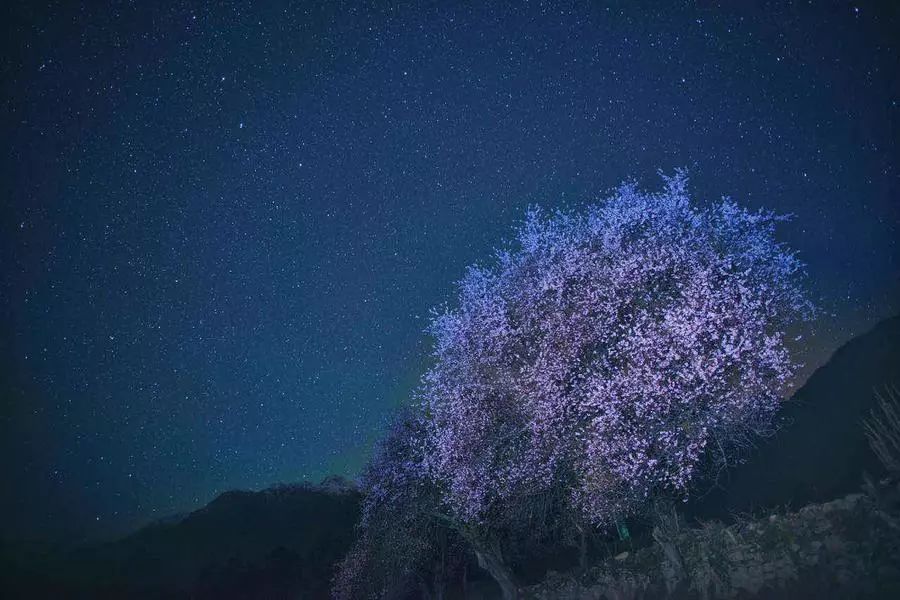 春天去哪里呢歌词,春天去哪里啊歌曲陕西