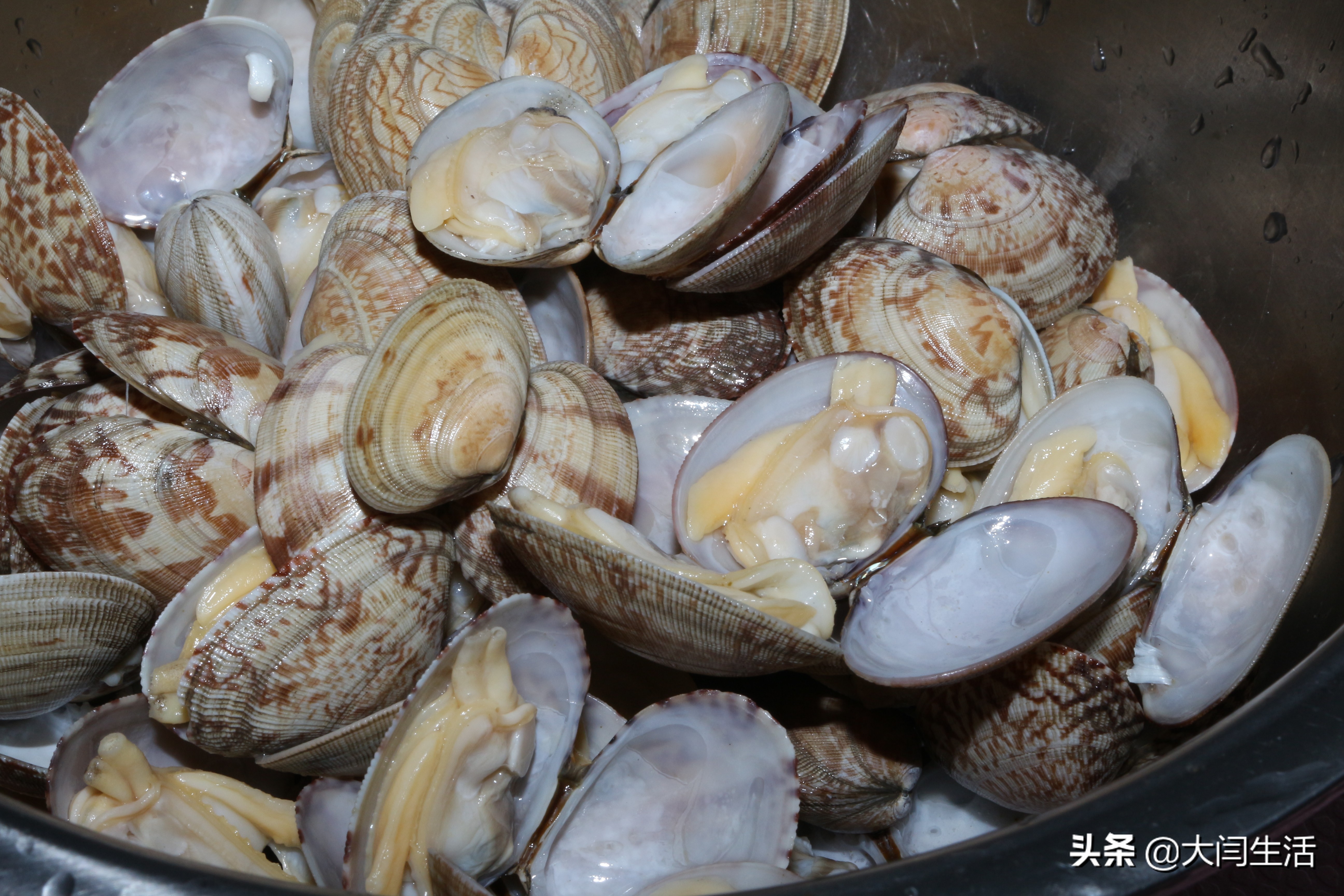 炒花蛤怎么吐沙干净,花蛤吐沙的正确做法