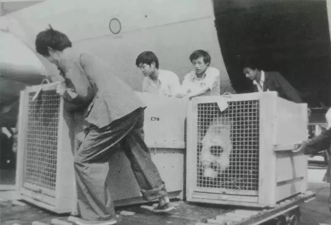 双流机场未来的发展,双流机场曾经的辉煌