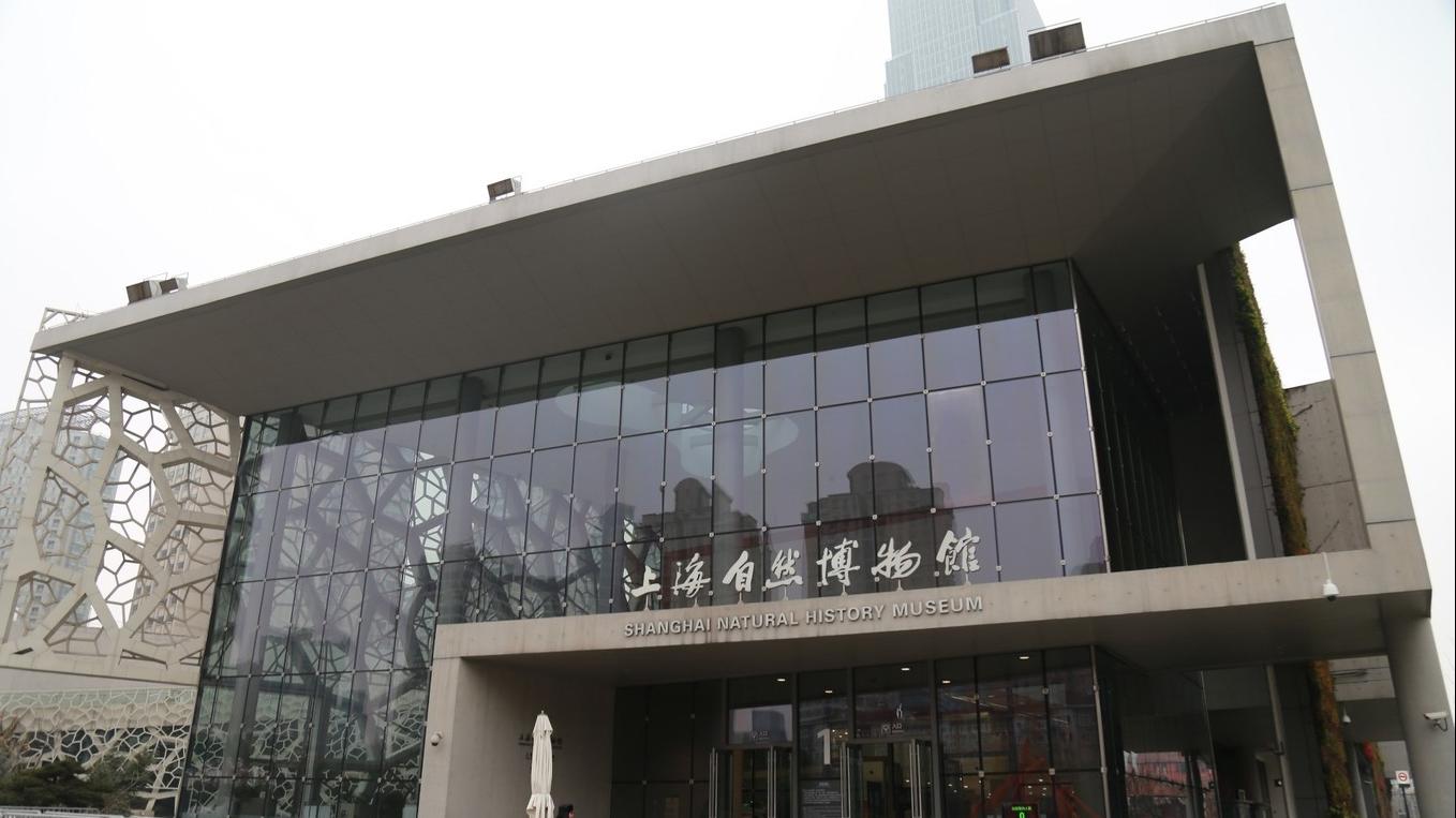 上海迪士尼跨年旅游,上海迪士尼与外滩旅游安排