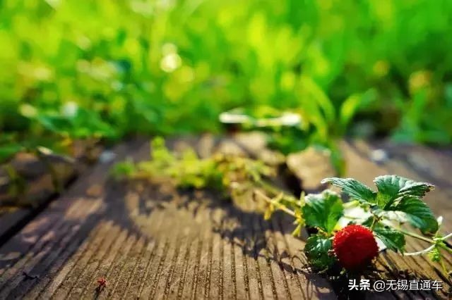 无锡夏天避暑的地方,无锡附近暑假避暑旅游好去处