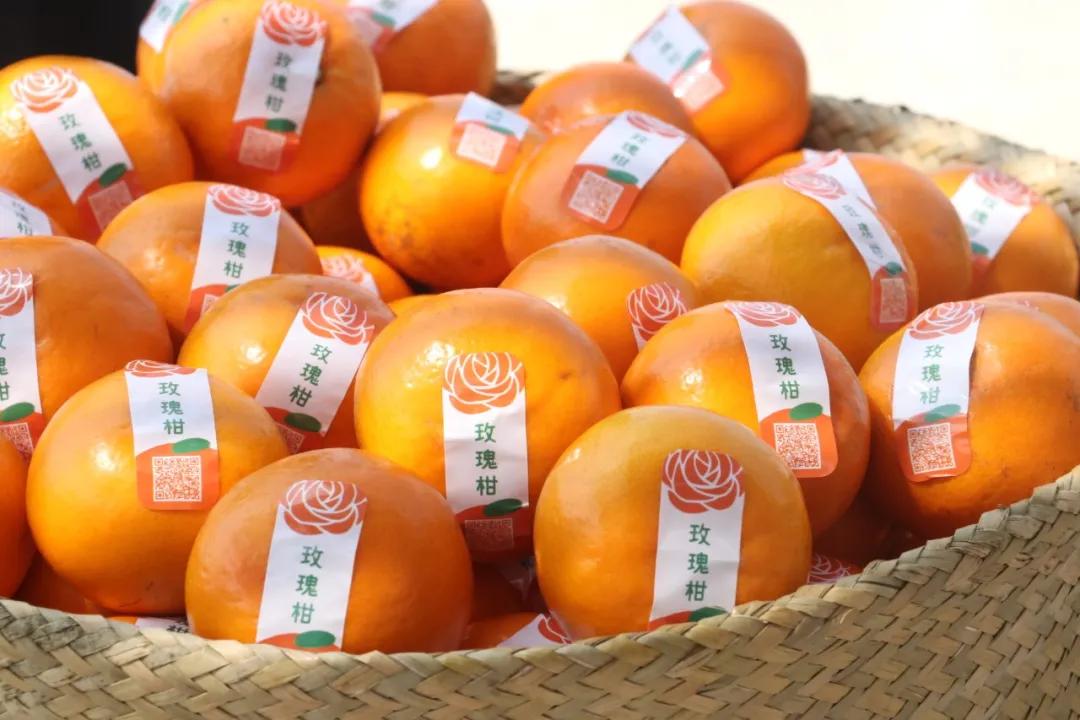 请转告全国白衣战士，从化有一份特别的礼物送给你们！