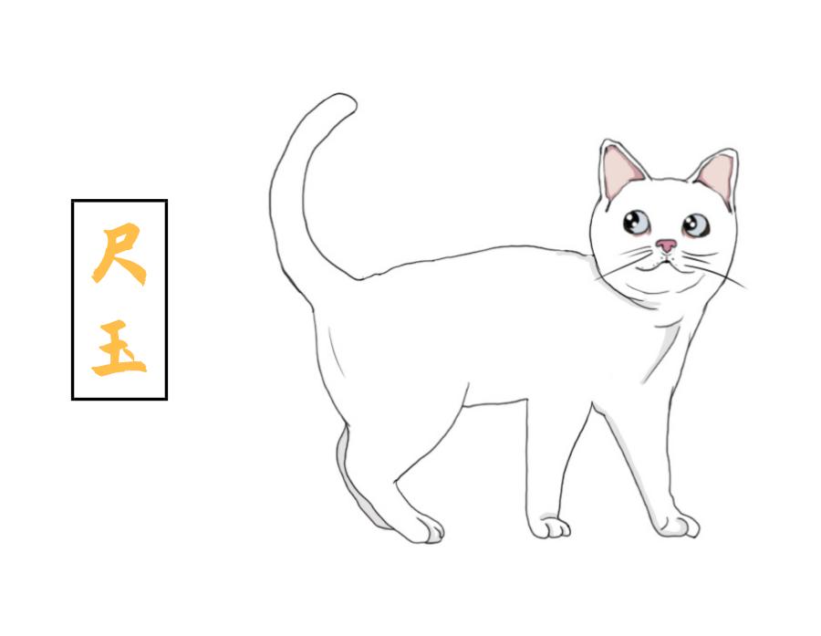 你养的猫在古代都叫什么名字,想知道你家猫在古代是什么样子吗