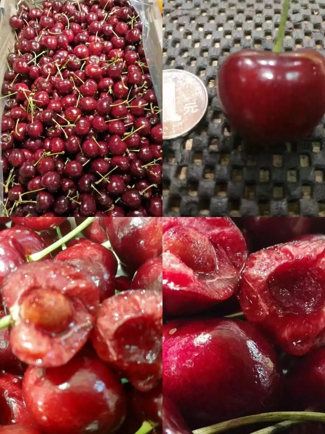 俄罗斯紫皮糖9块9包邮,俄罗斯紫皮糖哪家店便宜