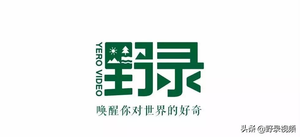 怎么戒掉自己的茶瘾,如何戒掉茶