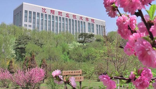 辽宁省最值得报考的八所专科院校,辽宁有哪些双高计划专科学校