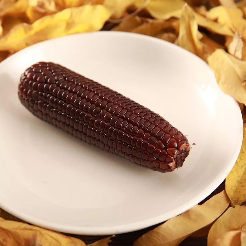 值得一吃的黑珍珠,黑糖珍珠又糯又弹