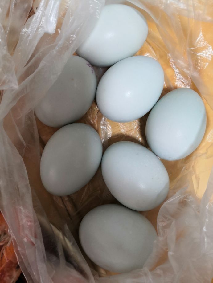 哈尔滨头条达人,哈尔滨头条新闻