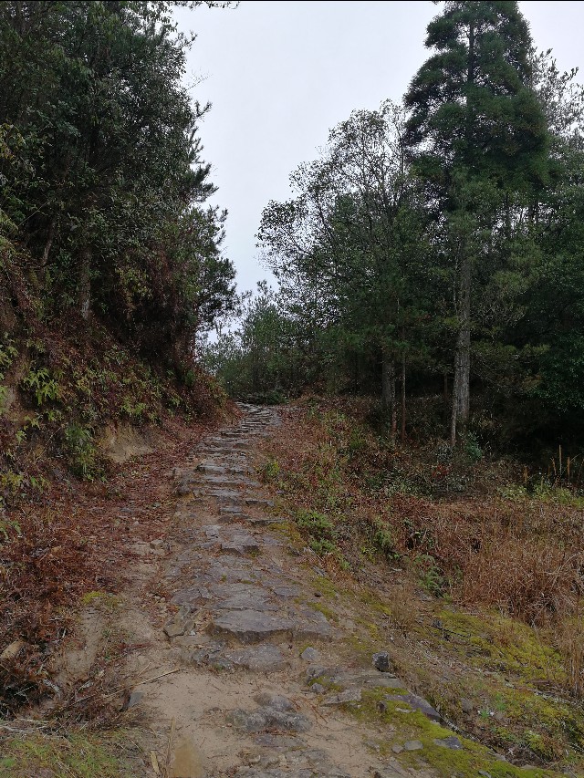 德化载入史册,德化是什么时候被评为世界瓷都的