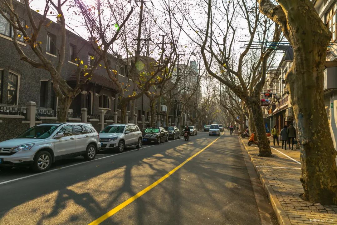 上海十大网红马路,魔都网红一条街