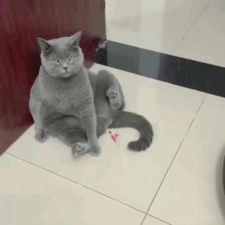 男言之隐怎么样,男言之隐介绍