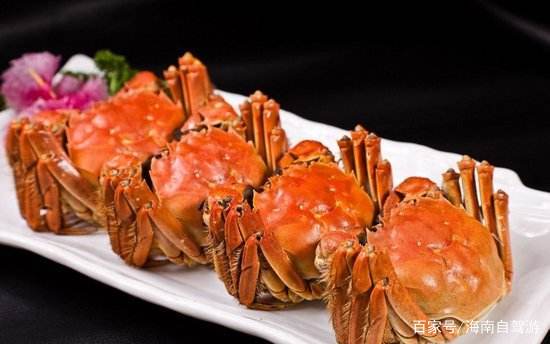 海南自驾游租车推荐,海南租车自驾线路