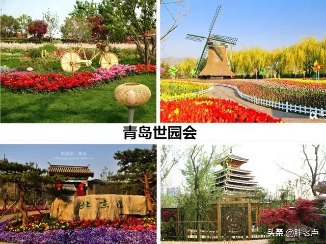 青岛的“傲慢与偏见”:你对李沧误解有多深?李村再也不是一个村